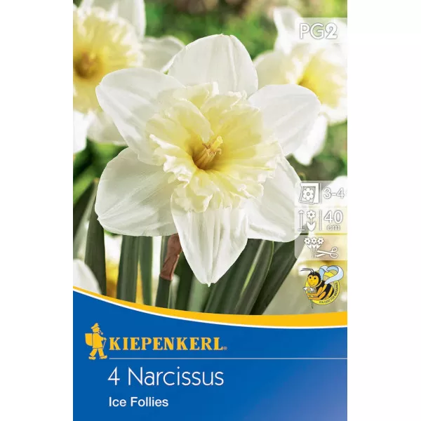 Narcyz Ice Follies   