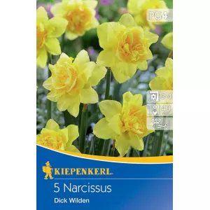 Narcyz Dick Wilden
