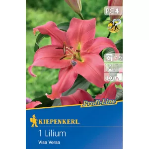 Lilia Visa Versa
