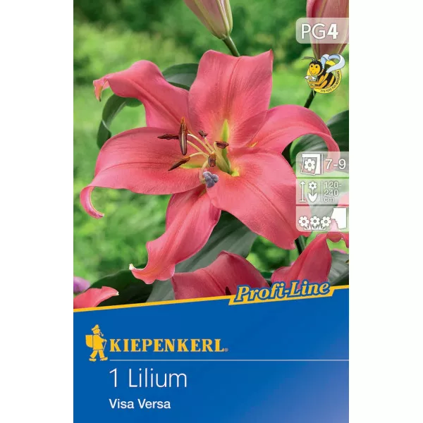 Lilia Visa Versa