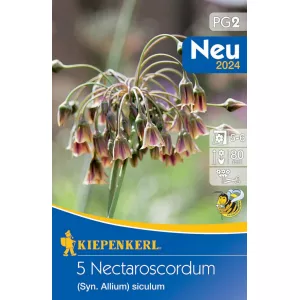 Czosnek (Allium) Nectaroscordum