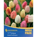Mega Pack Tulipan Pastel Mix