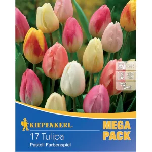 Mega Pack Tulipan Pastel Mix