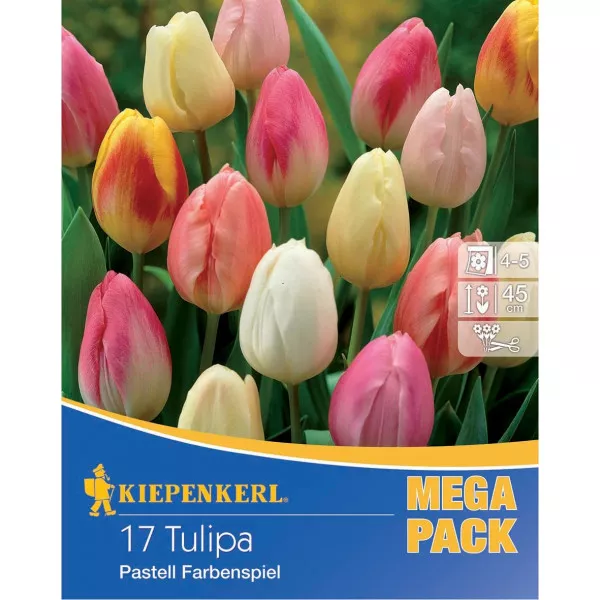 Mega Pack Tulipan Pastel Mix