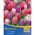 Mega Pack Tulipan Big Pride mix 