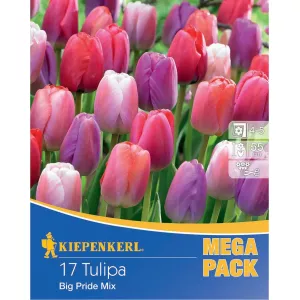 Mega Pack Tulipan Big Pride mix 