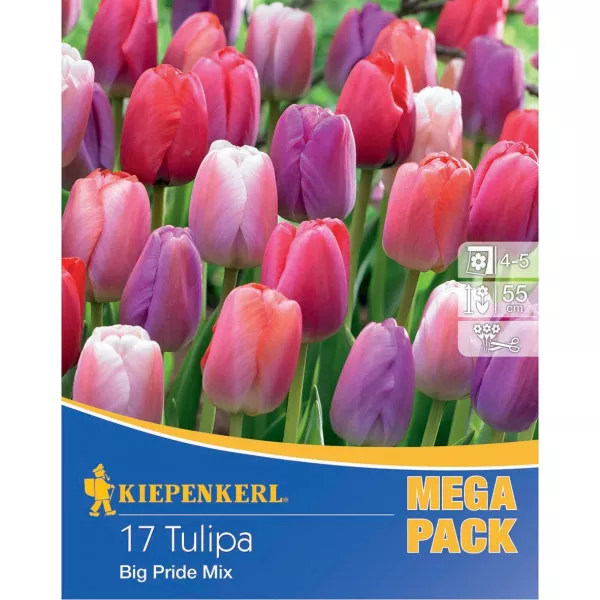 Mega Pack Tulipan Big Pride mix 