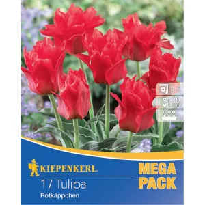 Mega Pack Tulipan Rottkäpchen Mix