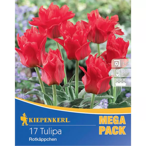 Mega Pack Tulipan Rottkäpchen Mix