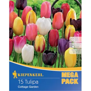 Mega Pack Tulipan Cottage mix 