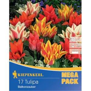 Mega Pack Tulipan Balkon Magic mix 