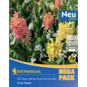 Mega Pack Hiacynt Pure Pastel mix 