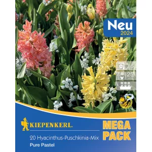 Mega Pack Hiacynt Pure Pastel mix 