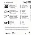 Mega Pack Hiacynt mix kolorów