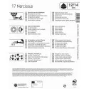 Mega Pack Narcyz Osterglocken