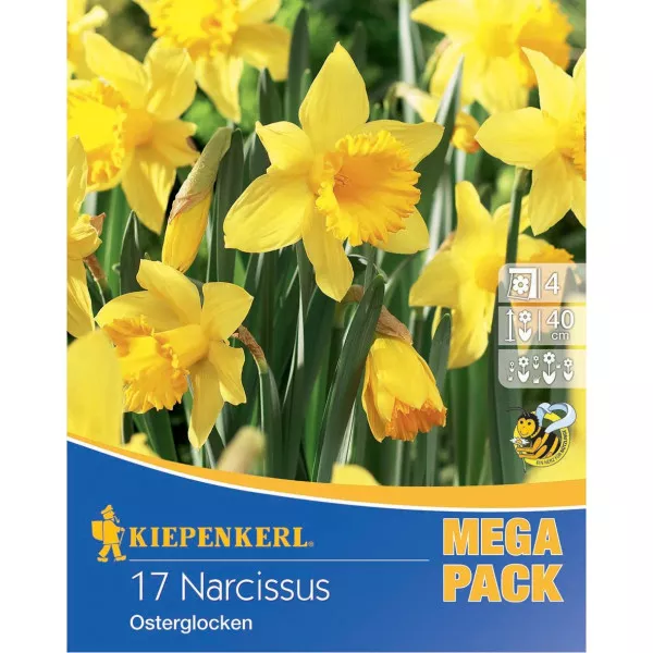 Mega Pack Narcyz Osterglocken