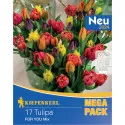 Mega Pack Tulipan For You mix 