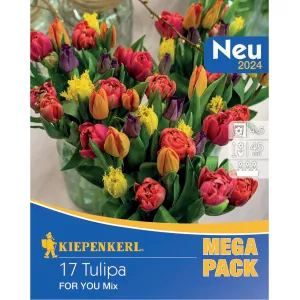 Mega Pack Tulipan For You mix 