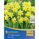 Mega Pack Narcyz Tete a Tete
