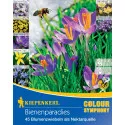 Cebulki kwiatowe Bee Paradise