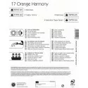 Cebulki kwiatów Orange Harmony