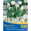 Cebulki kwiatów White Harmony