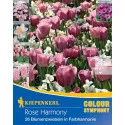 Cebulki kwiatowe Rose Harmony