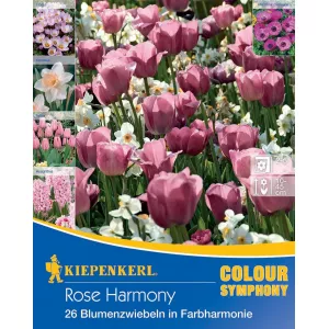 Cebulki kwiatowe Rose Harmony