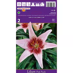 Lilia Pink Pixels