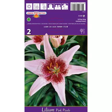 Lilia Pink Pixels