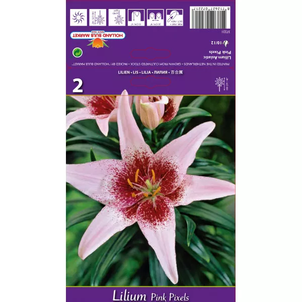 Lilia Pink Pixels