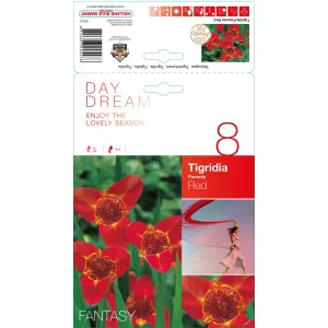 Tygrysówka czerwona