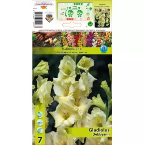 Gladiola (Mieczyk) Debbyann