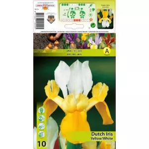 Irys Yellow White