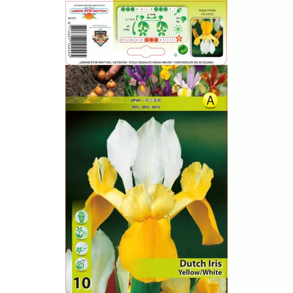 Irys Yellow White