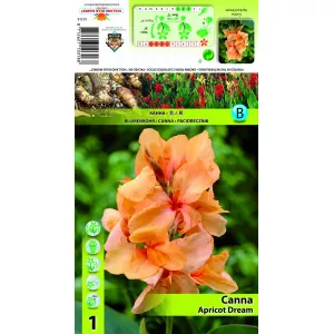 Canna Morela Sen