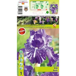 Irys germanica Batik