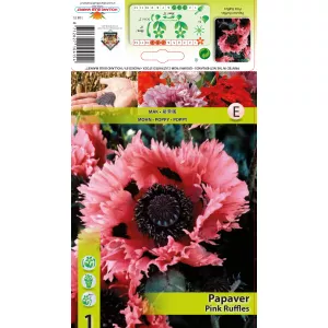 Mak ogrodowy Pink Ruffles