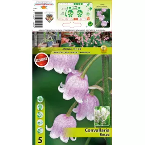 Konwalia majowa (Convallaria Majalis), różowa