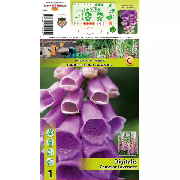 Naparstnica (Digitalis) Camelot Lavender
