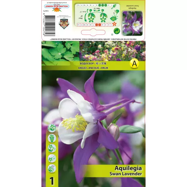 Orlik Swan Lavender