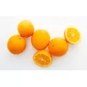 Pomarańcza Gorzka (Citrus x aurantium)