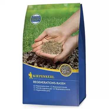 Nasiona traw do regeneracji