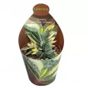 Gasteria (Gasteria verrucosa variegata) w doniczce ø 6,5 cm
