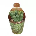 Peperomia (Peperomia columella) w doniczce ø 6,5 cm