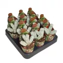 Crasulla Deceptor (Crassula) w doniczce ø 6,5 cm