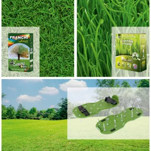 Idealny pakiet trawnikowy: nasiona trawnika na 4 pory roku, aerator i nawóz organiczny