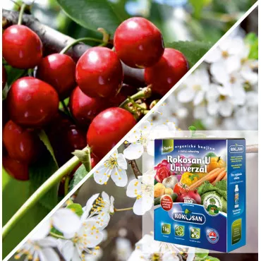 Pakiet nawozu Lydia Cherry & Organic