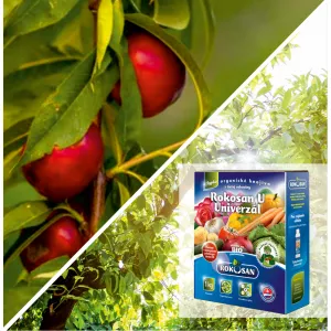 Pakiet Urban Garden: Nektaryna kolumnowa Aeris& nawóz organiczny