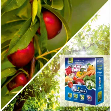 Pakiet Urban Garden: Nektaryna kolumnowa Aeris& nawóz organiczny